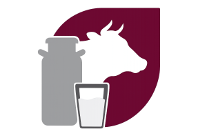 Capacitación Leche para el Bienestar